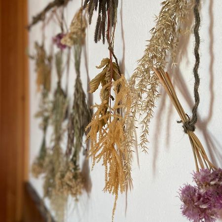 B&B Marcellina Bard Buitenkant foto