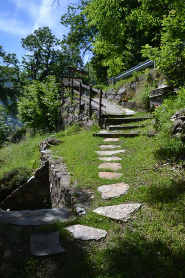 B&B Marcellina Bard Buitenkant foto